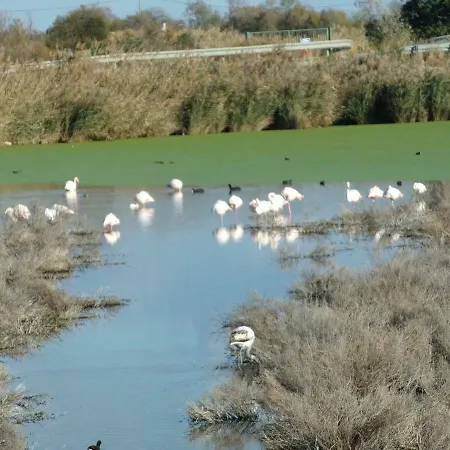 Ibaia Le Bonheur Frontignan