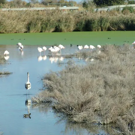 Ibaia Le Bonheur Bed & Breakfast Frontignan